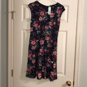 NWT Wisp Leeah Lace Navy Wine Floral Dress